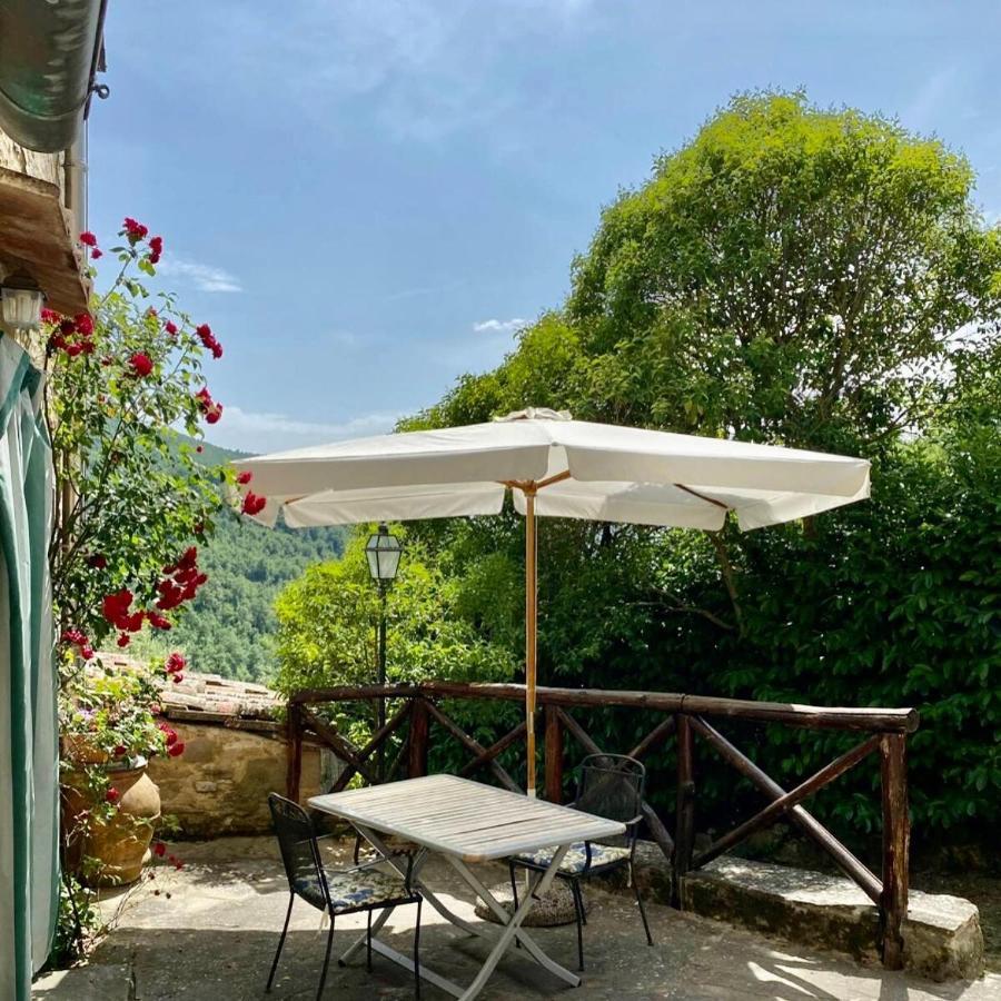 San Godenzo Il Colle - Apartment Gelso מראה חיצוני תמונה